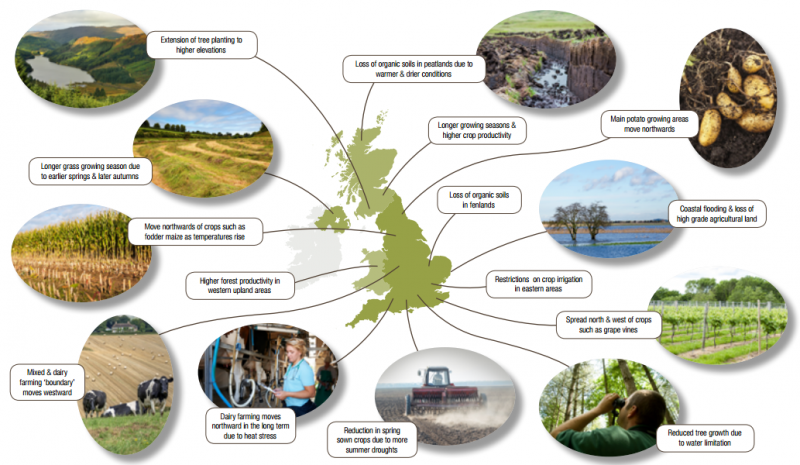 Impact Of Climate Change On Forestry